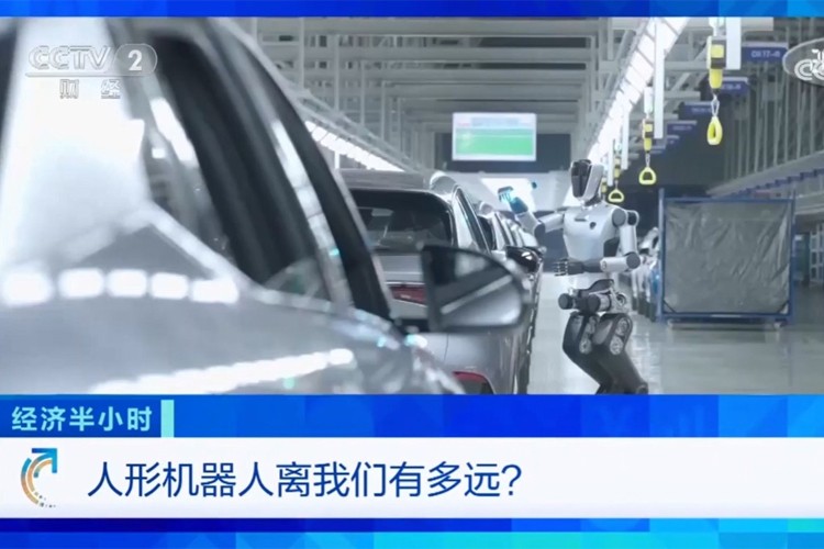 中央电视台《经济半小时》栏目对DB电竞机器人的专题报道